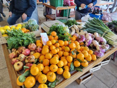 WhatsApp Image 2025-11-14 at 09.23.35.jpeg